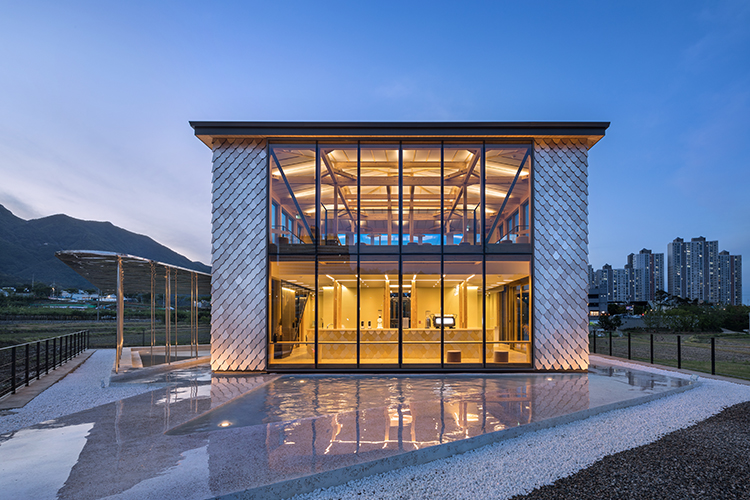 아리주진 (6).jpg