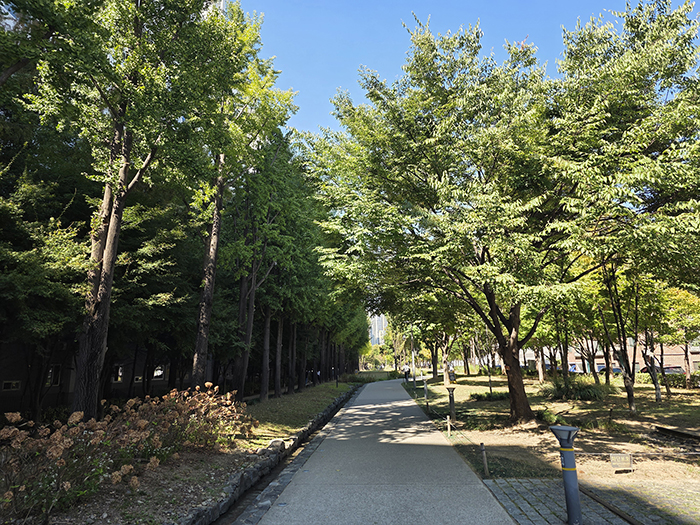 KakaoTalk_20261007_171717976_02 - 복사본.jpg
